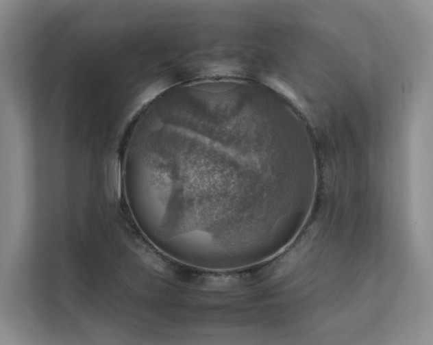 X0000111351219200907101203
