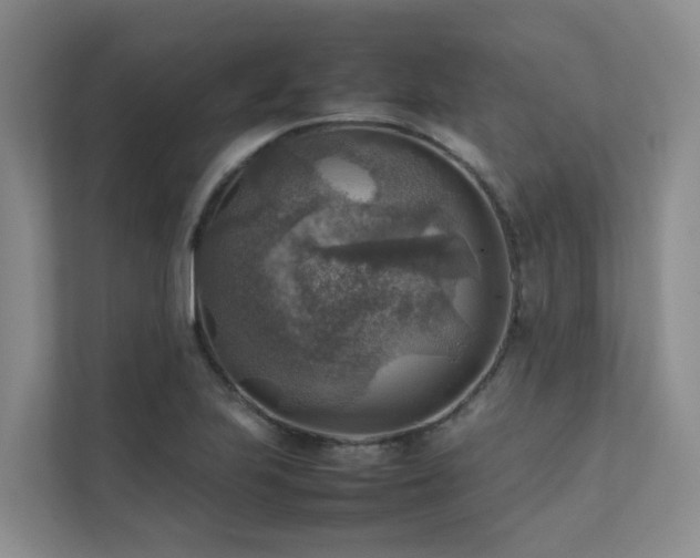X0000111351223200907101203