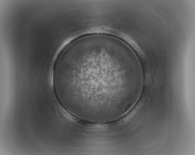 X0000111351224200907101203
