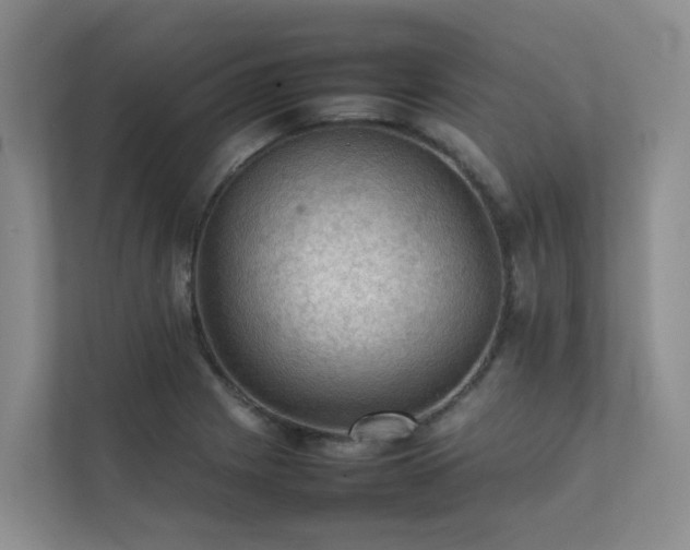 X0000111351225200907101203