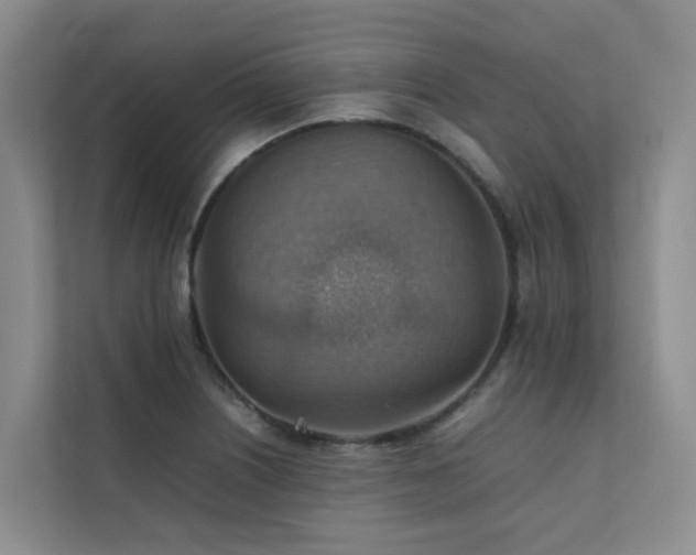 X0000111351226200907101203