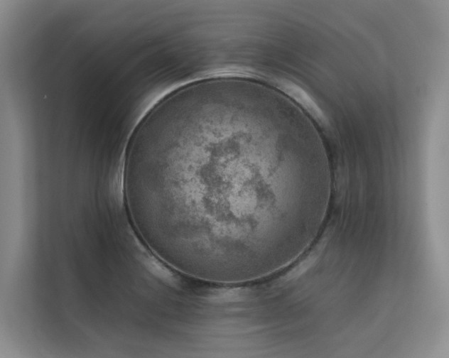 X0000111351228200907101203