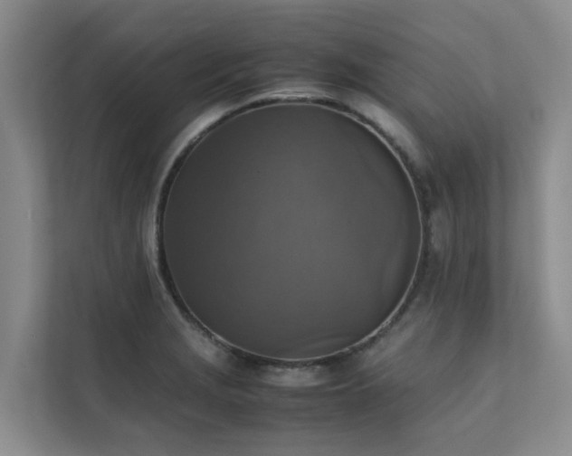 X0000111351229200907101203