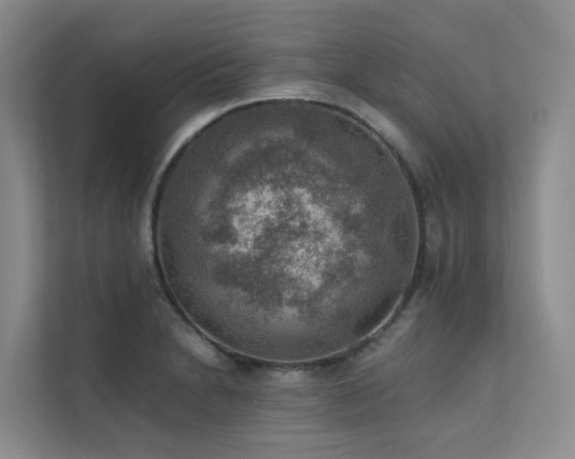 X0000111351230200907101203