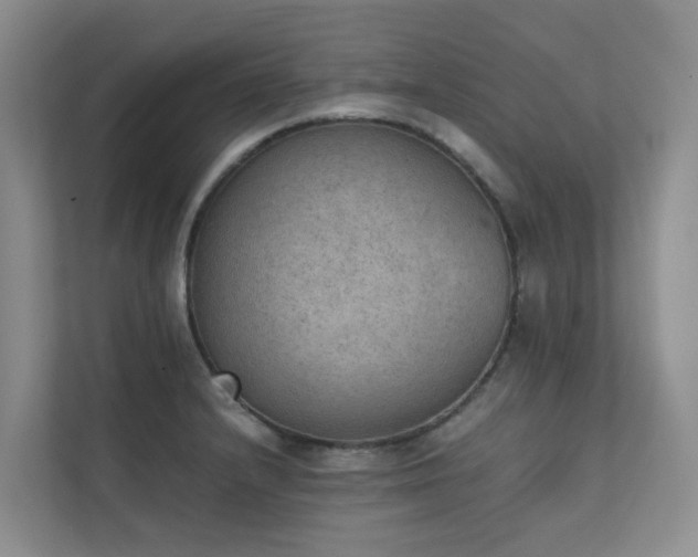 X0000111351232200907101203