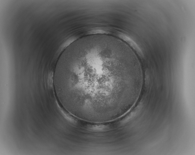 X0000111351233200907101203