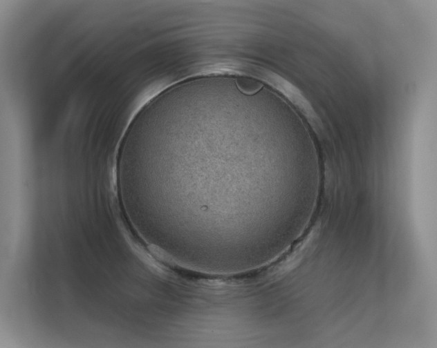 X0000111351234200907101203