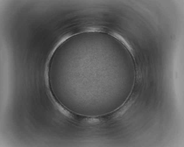 X0000111351235200907101203