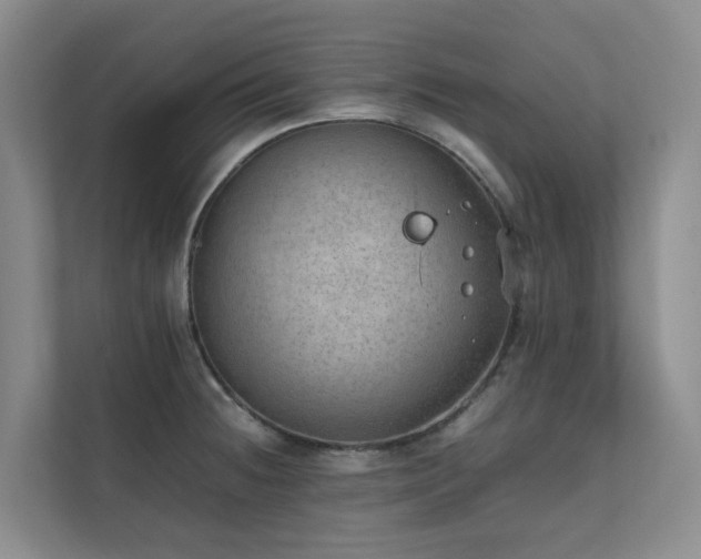 X0000111351236200907101203