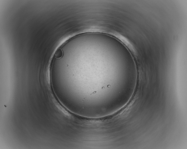X0000111351238200907101203