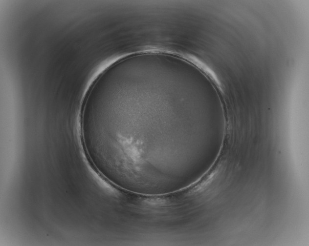 X0000111351239200907101203