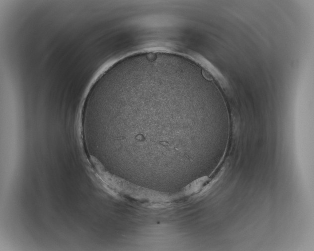 X0000111351240200907101203