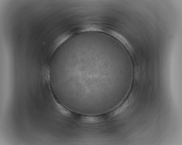 X0000111351241200907101203