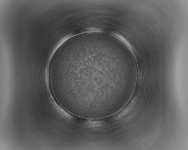 X0000111351243200907101203