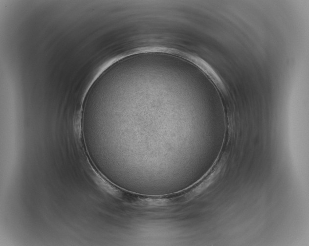 X0000111351244200907101203