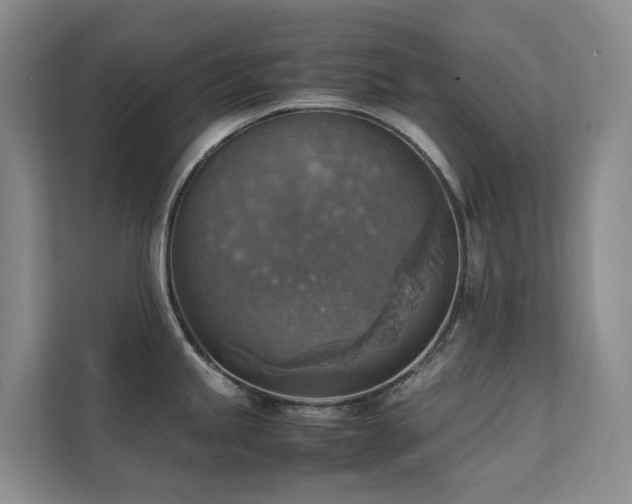 X0000111351245200907101203