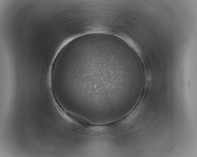 X0000111351246200907101203