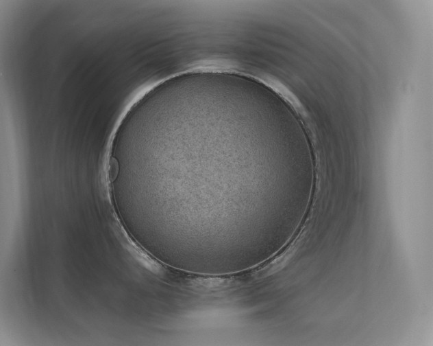 X0000111351248200907101203