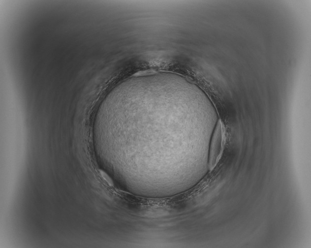 X0000111351249200907101203