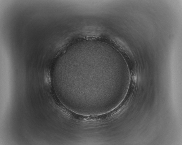 X0000111351252200907101202