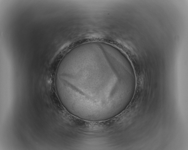 X0000111351254200907101202