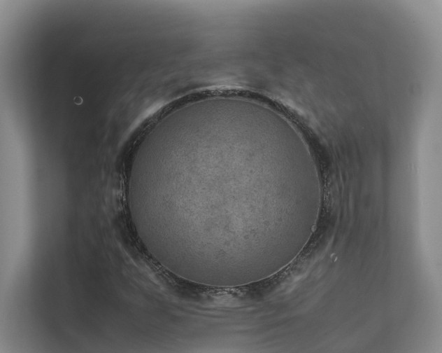 X0000111351255200907101202