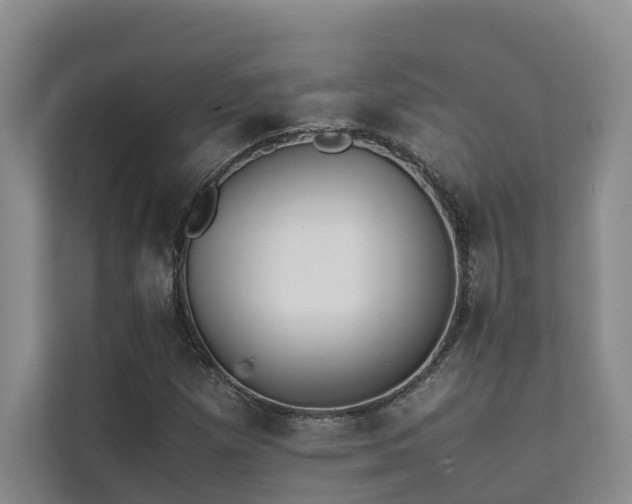 X0000111351257200907101202
