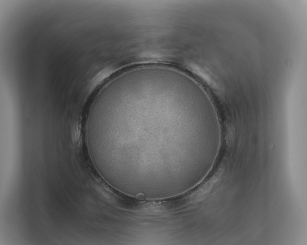 X0000111351259200907101202