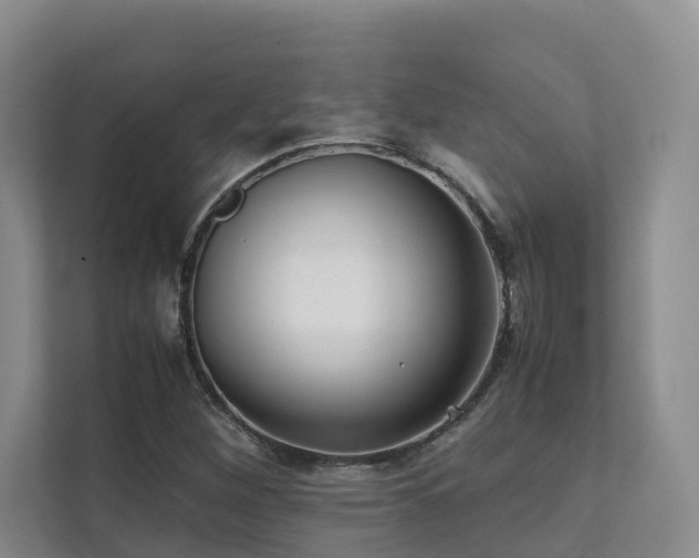 X0000111351260200907101202