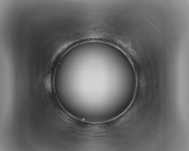 X0000111351262200907101202