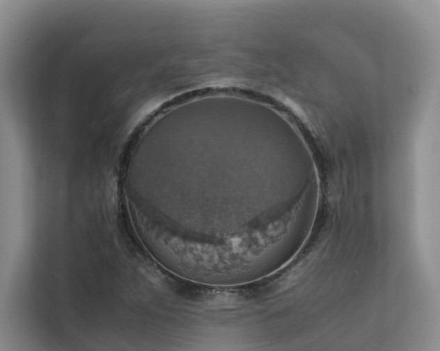 X0000111351263200907101202