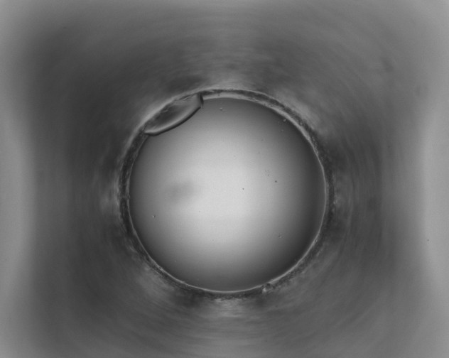 X0000111351264200907101202