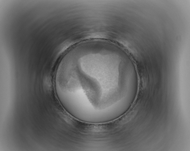 X0000111351266200907101202