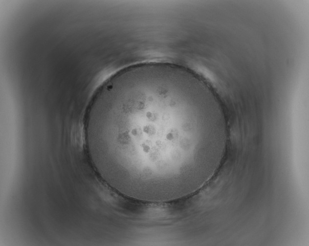 X0000111351267200907101202