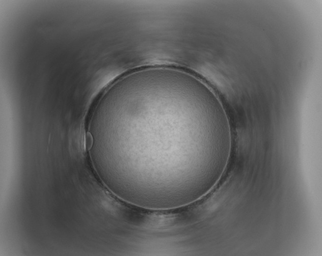 X0000111351269200907101202