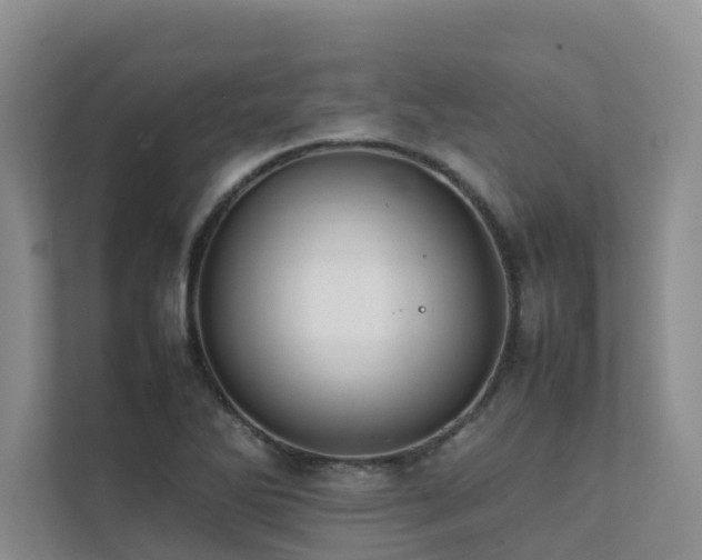 X0000111351270200907101202