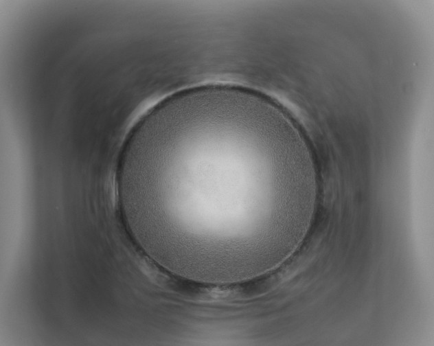 X0000111351271200907101202