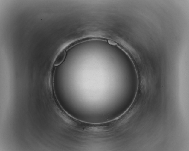 X0000111351272200907101202