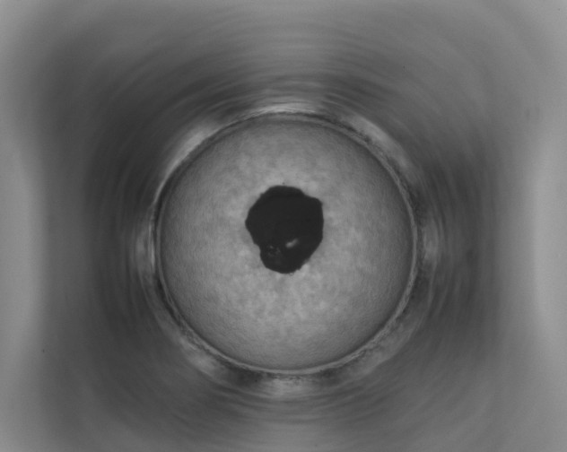 X0000111351274200907101202
