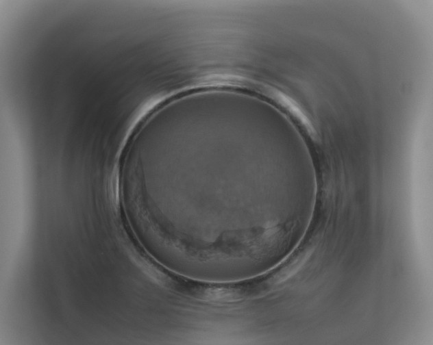 X0000111351275200907101202