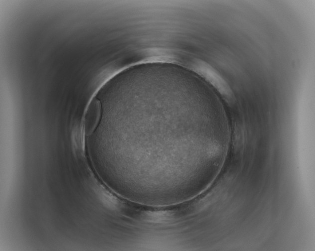 X0000111351276200907101202