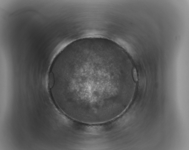 X0000111351277200907101202