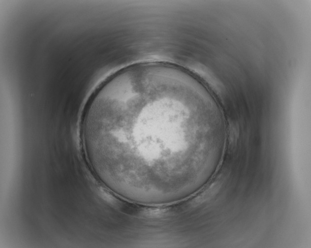 X0000111351278200907101202