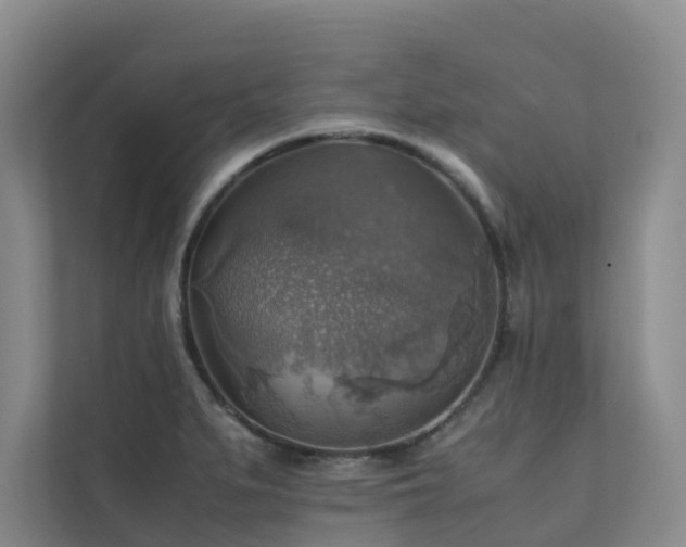 X0000111351279200907101202