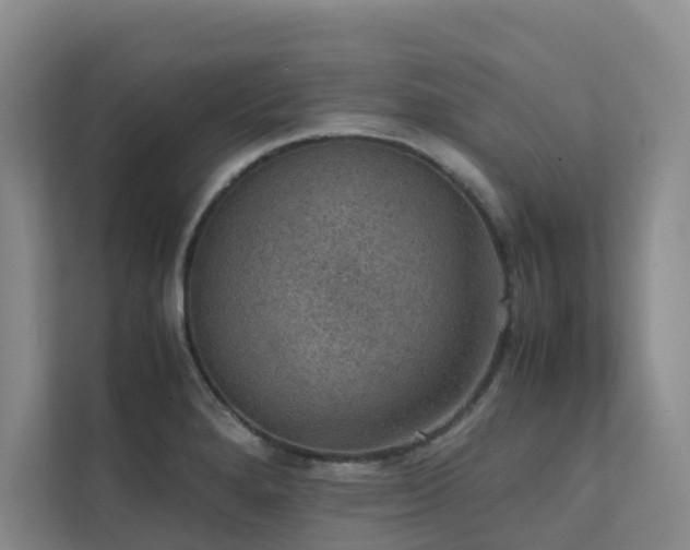 X0000111351280200907101202