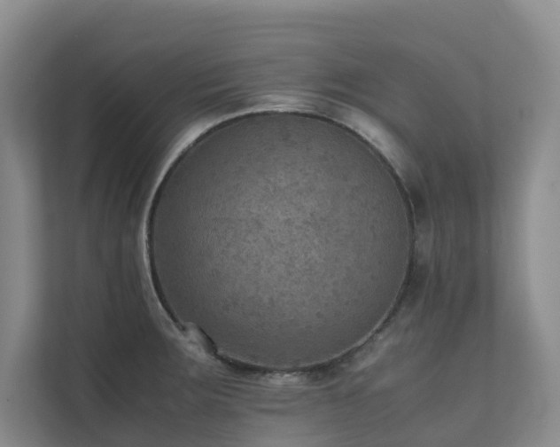 X0000111351283200907101202