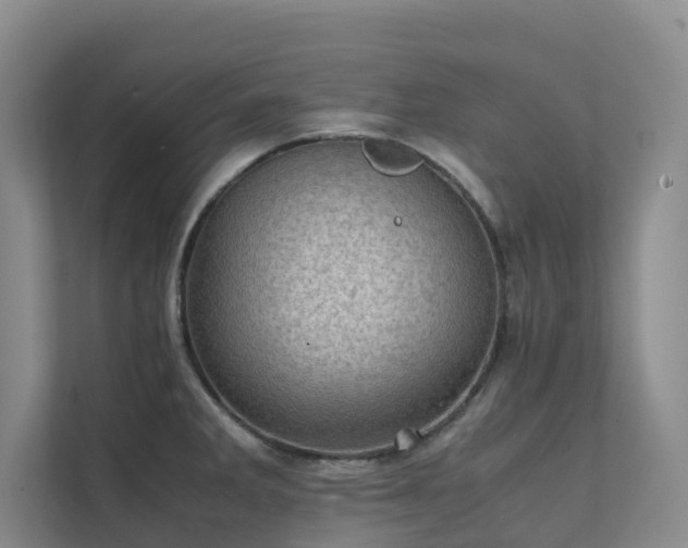 X0000111351285200907101202