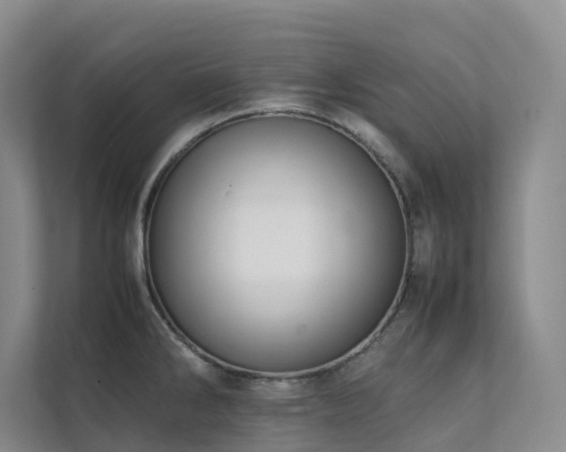 X0000111351286200907101202