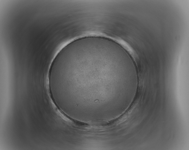 X0000111351287200907101202