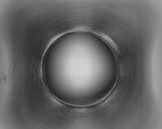 X0000111351288200907101202